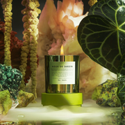 best smelling candles best smelling candles