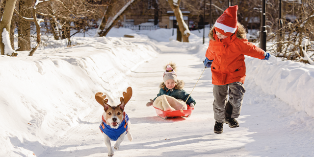 Snowman Family Kit  Games & Outdoor Toys at L.L.Bean