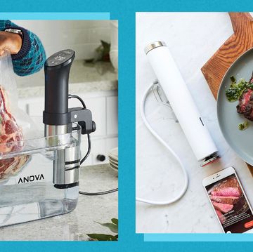 anova precision cooker and breville joule sous vide