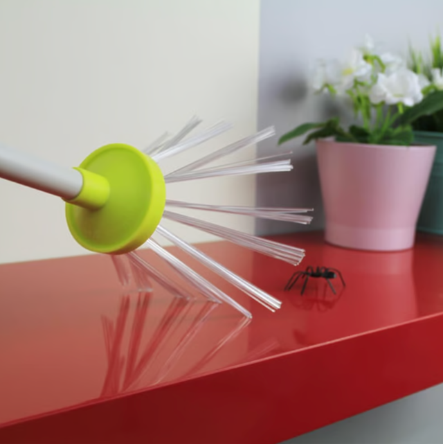 Snapy Insect Catcher - Insect Catching Specialists - Pestrol Australia