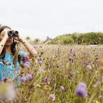 a girl looking through binoculars in a meadow of tall grass and purple wild flowers
