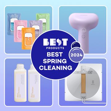 best spring cleaning 2024, shoe box, touchland spray, steamer, glass rinser, handheld vacuum, window cleaner, linen wash, makeup brush cleaning bowl