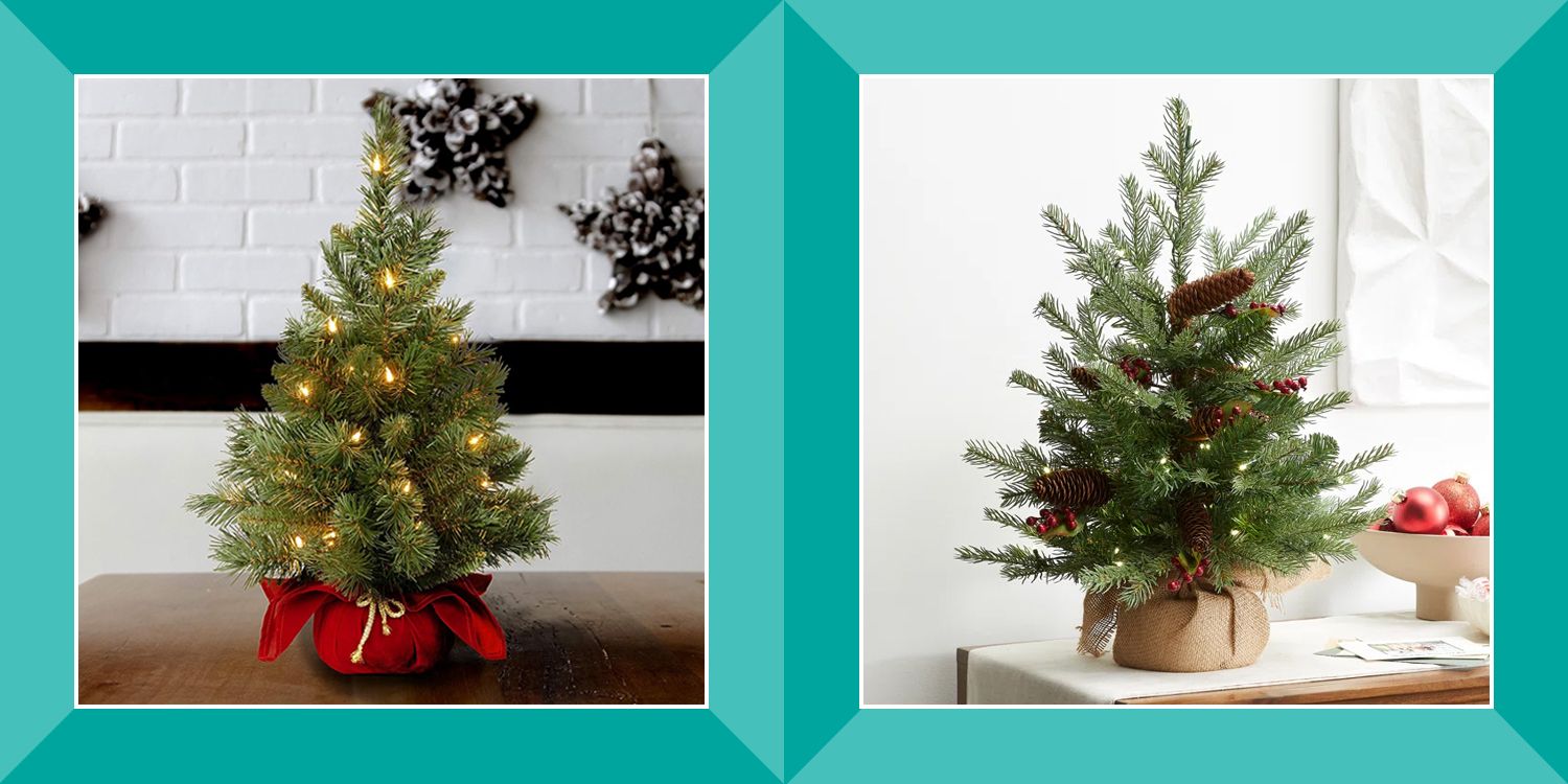 https://hips.hearstapps.com/hmg-prod/images/best-tabletop-christmas-trees-6560bd3900838.jpg