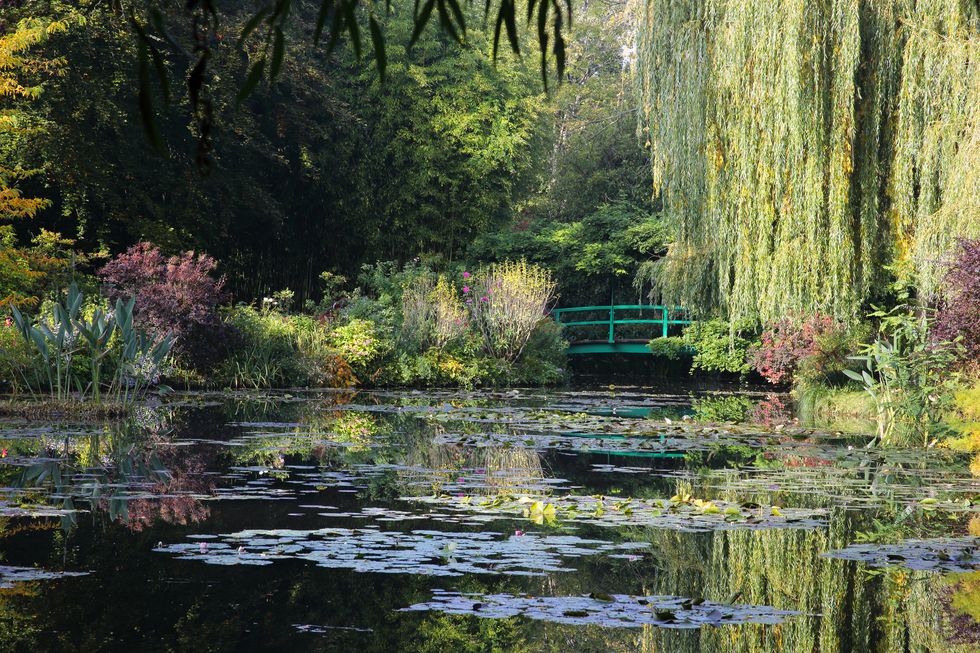 water lily pond with japanese bridge in autumn, monets garden, giverny, france