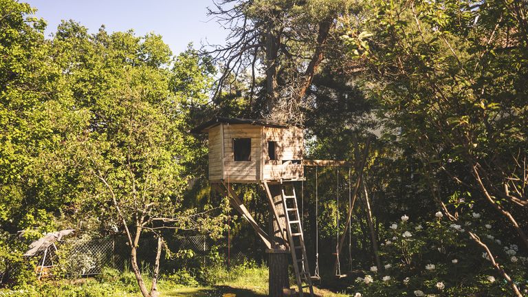 10 Best Treehouse Holidays in the UK
