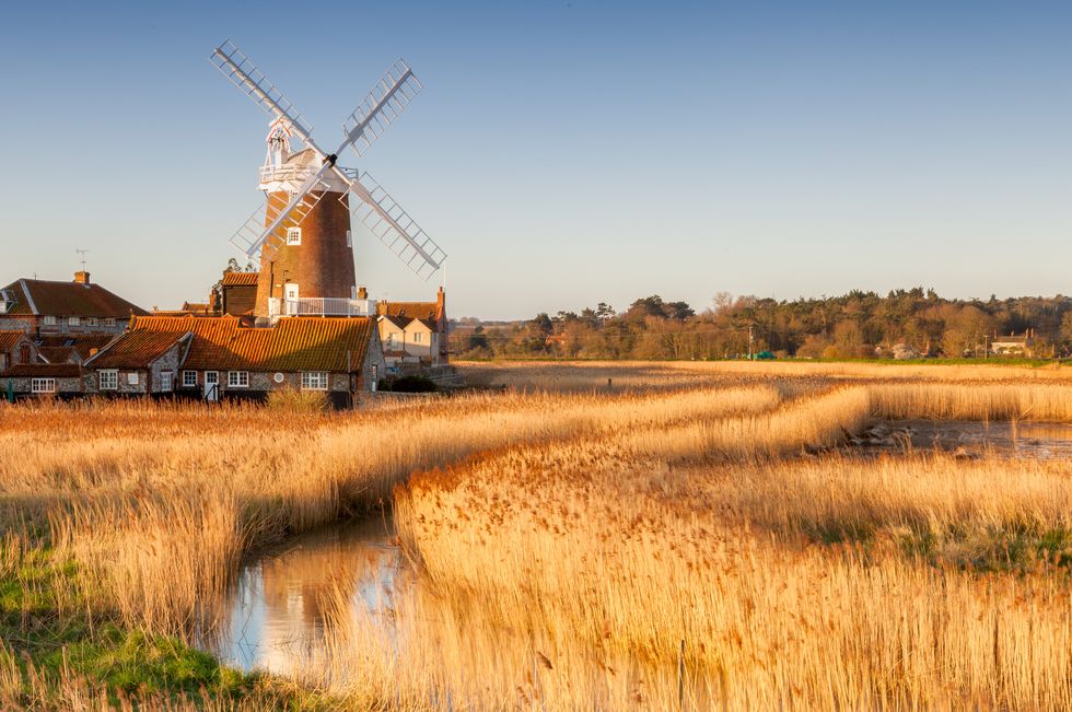 cley next the sea, holt, uk march 16, 2014 image shows a windmill set among marshes in norfolk the long grasses are broken by a river tributary in which we also see a partial reflection of the windmill the clear blue sky and warm colored grasses offer a warm scene useful for illustrating written articles about the countryside