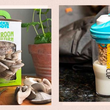 back to the roots organic mini mushroom grow kit, crunchcup a portable cereal cup