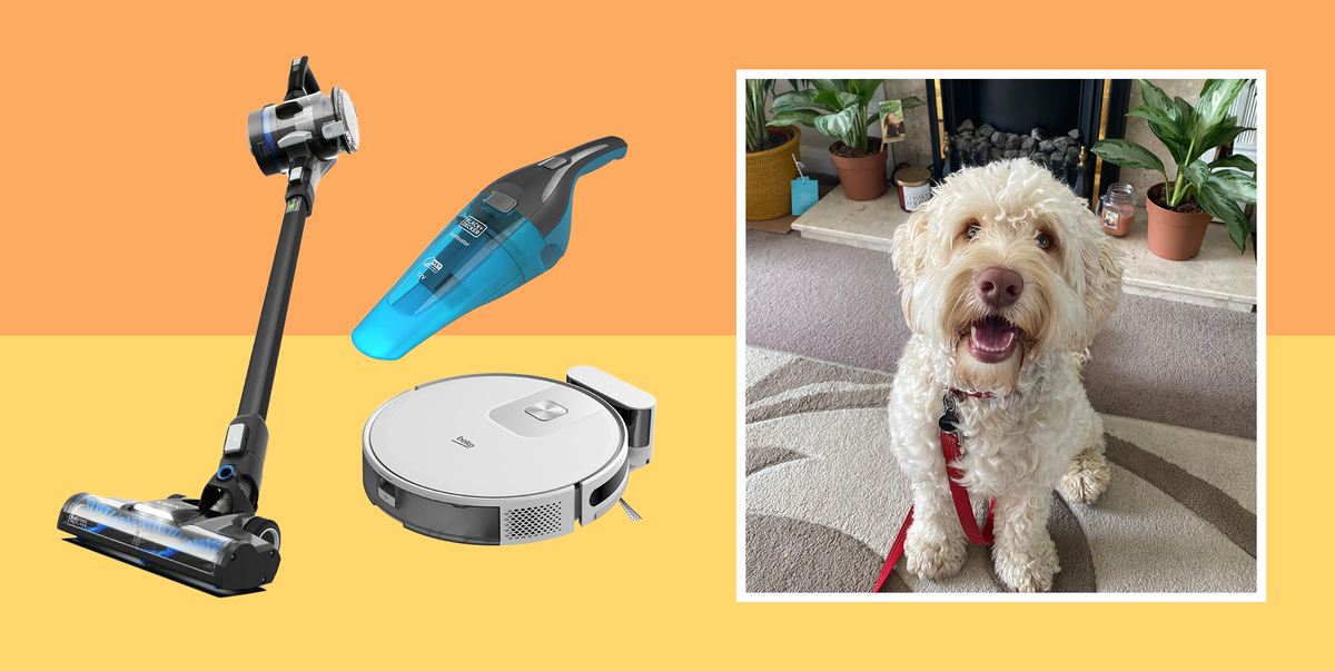 What's the best cordless vacuum for pet hair sale