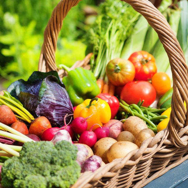 best vegetables to plant in your garden