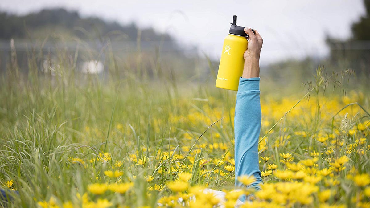 Home Wildflower Walk 32oz Stainless Steel Water Bottle