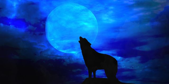 A Werewolf In England, Full Monster Horror Movie