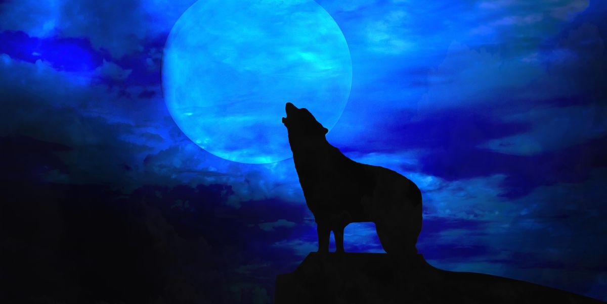 best werewolf movies   scary halloween movies