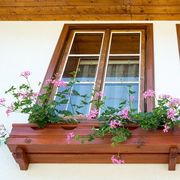 wood trimmed window with window box and pink flowers