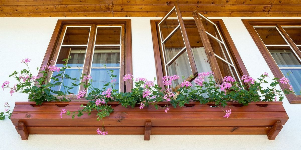 wood trimmed window with window box and pink flowers
