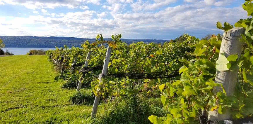 8 Best Wine Vacations - Best Summer Trips for Wine Lovers