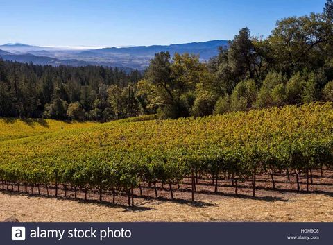 best wineries napa valley cade winery veranda