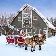 best winter activities sleigh ride