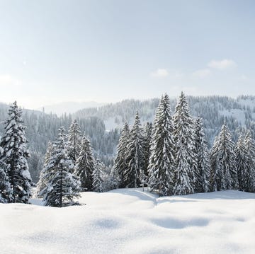 best winter quotes best winter quotes