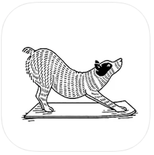 Best yoga apps: 16 of the best yoga apps to download right now
