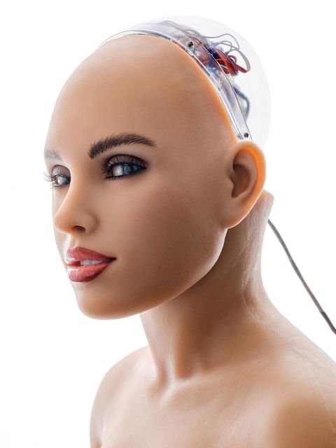De machines die sommige robotontwikkelaars creren lijken sprekend op mensen en imiteren ons nauwkeurig Een voorbeeld daarvan is Harmony een expressief pratend hoofd dat over kunstmatige intelligentie beschikt en dat is bevestigd aan een sekspop van silicone en staal