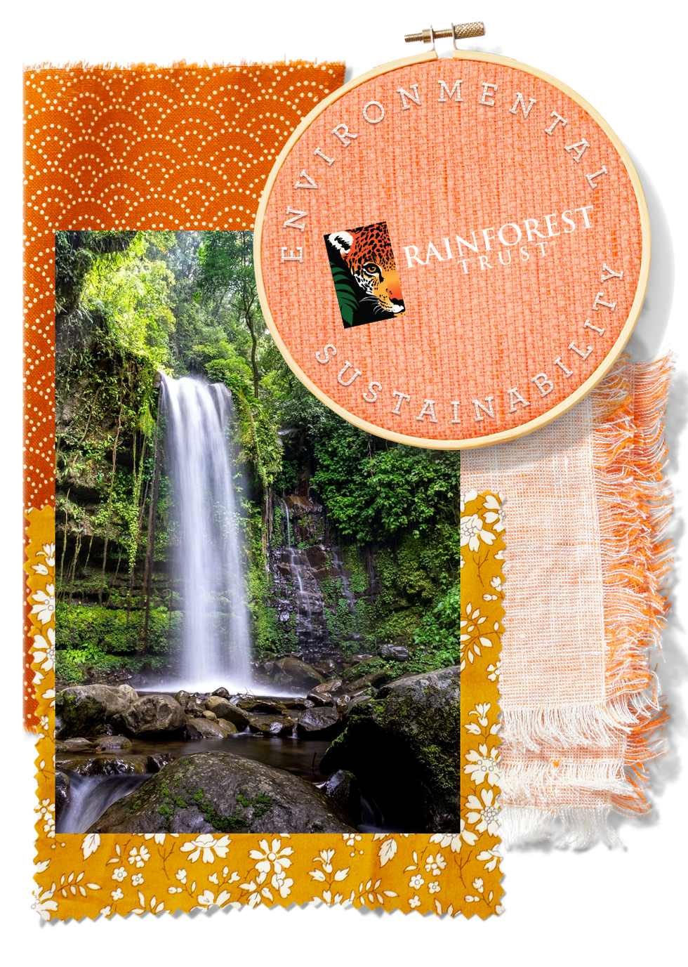 rainforest trust
