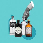 the 11 best bottles of gin you can buy at any price point
