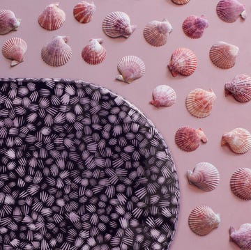 exploring eden collection by bethan gray exploring eden collection by bethan gray