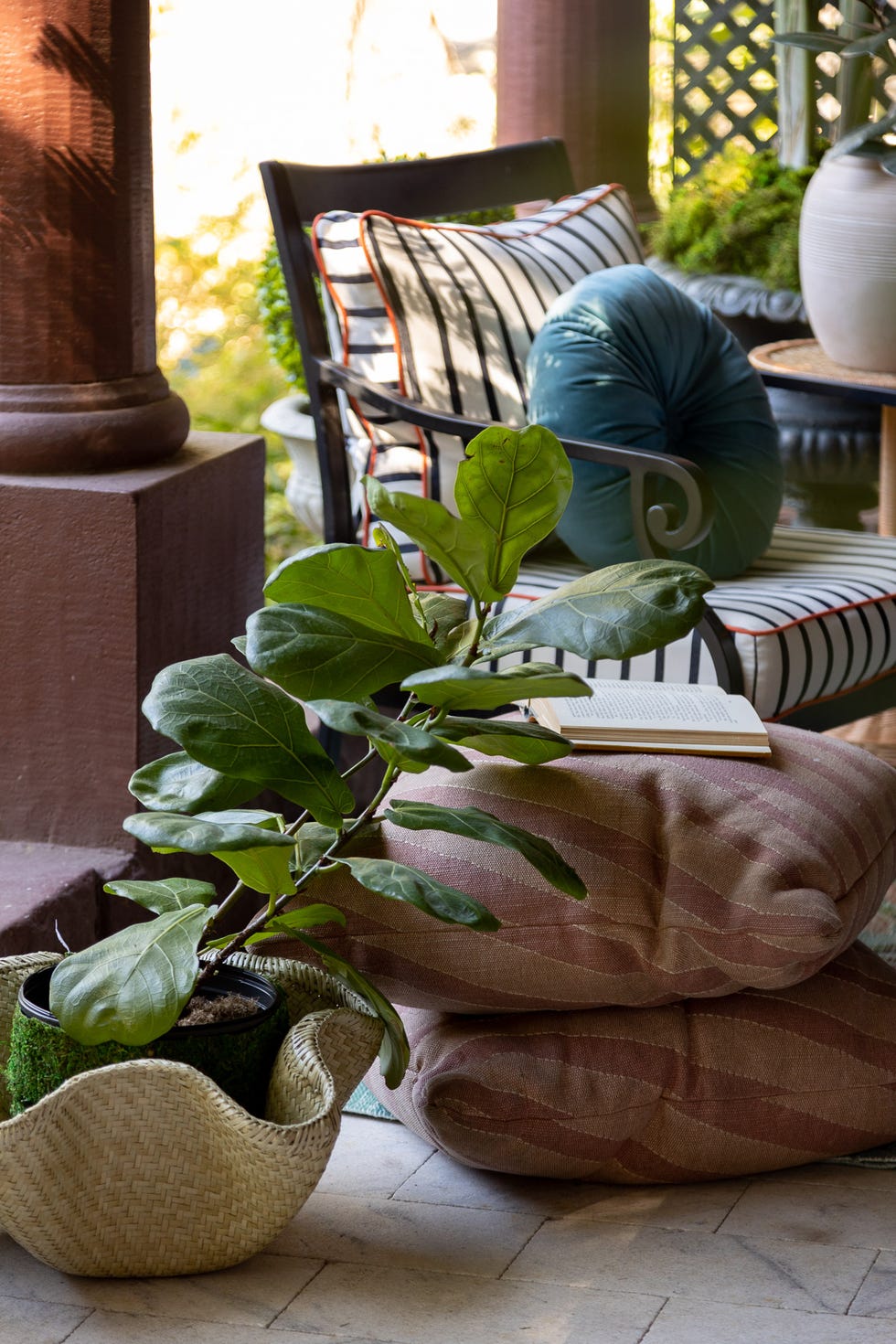 Costco's Famous Fiddle Leaf Fig Plants Are Finally Back In Stock