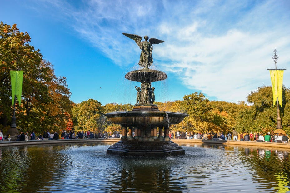 fall in central park, new york