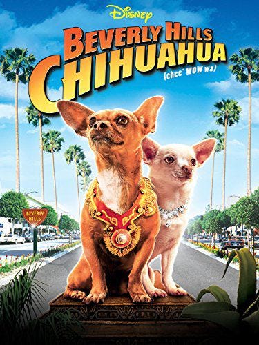 beverly hills chihuahua