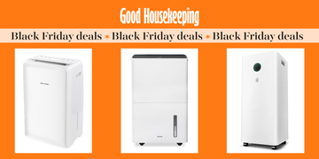 black friday dehumidifier deals