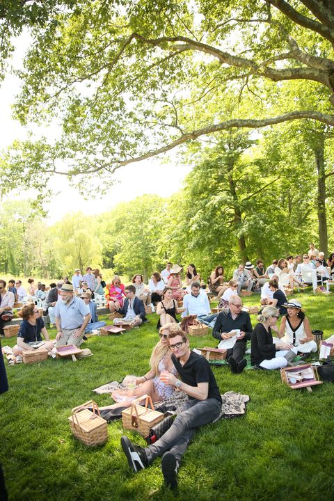People in nature, Photograph, Event, Lawn, Grass, Spring, Ceremony, Picnic, Backyard, Tree, 