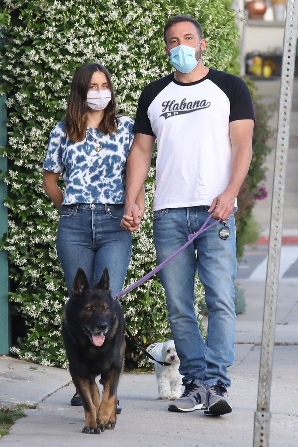 ben and ana walk their dogs