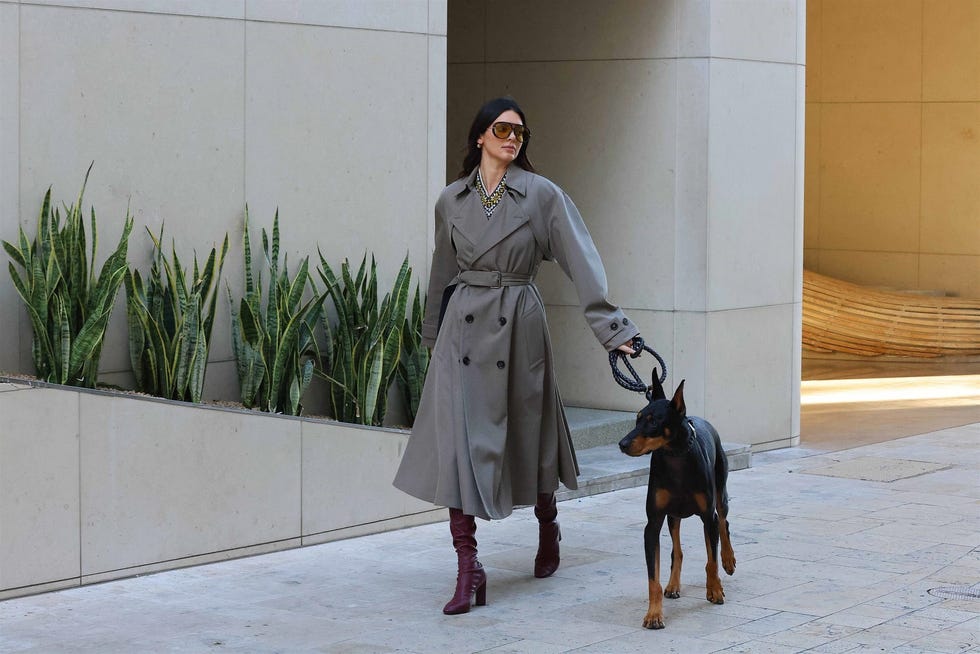 Kendall Jenner Executes a Lesson in Glamour on a Dog Walk