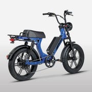 This is an image fat tire e bikes