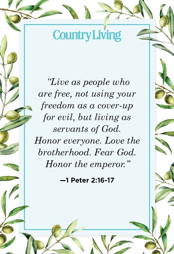 bible quote about freedom