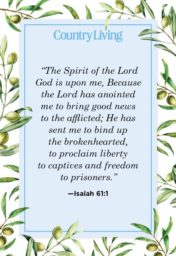 bible quote about freedom