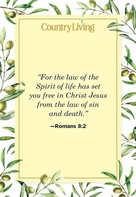 jesus set free