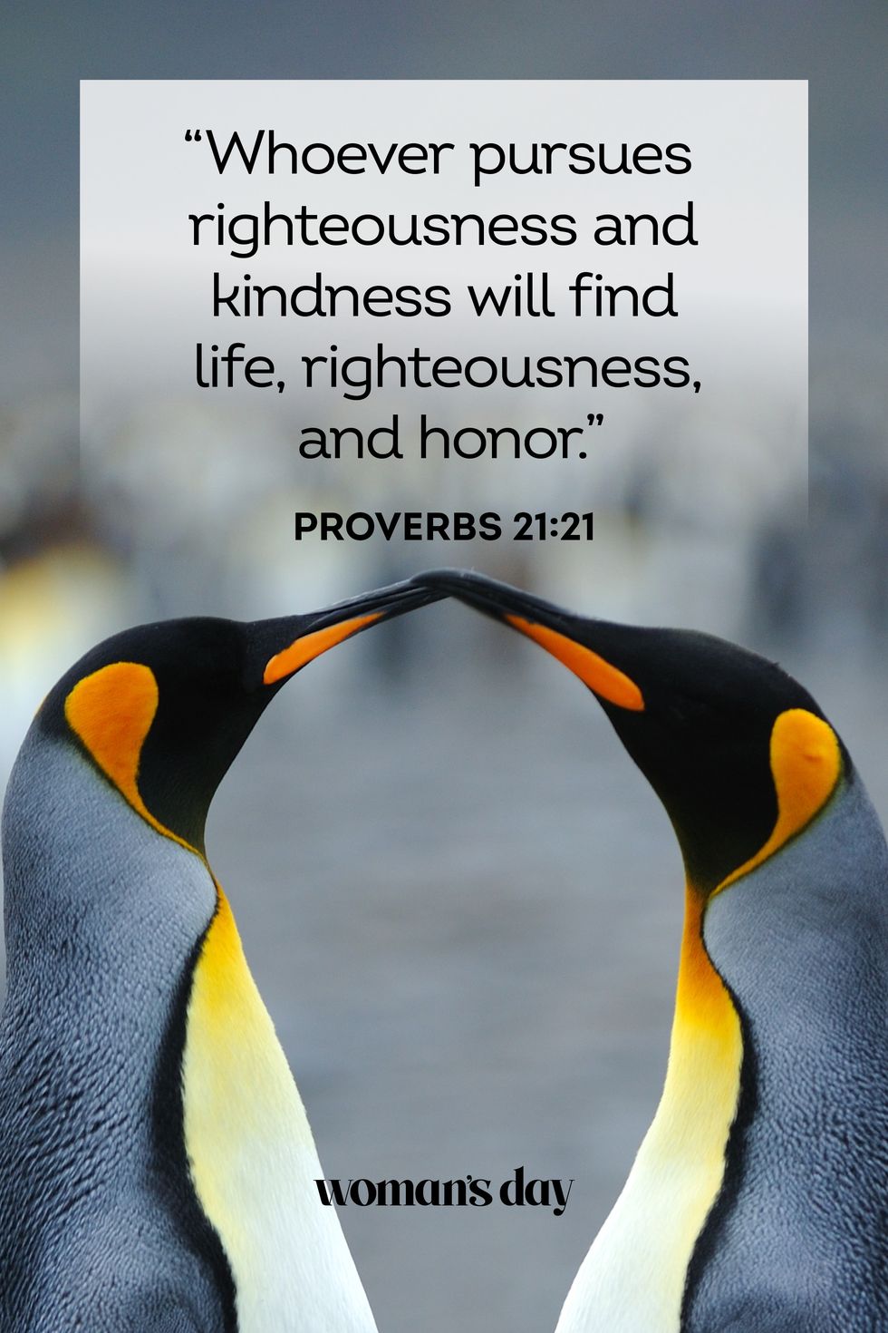 proverbs 2121