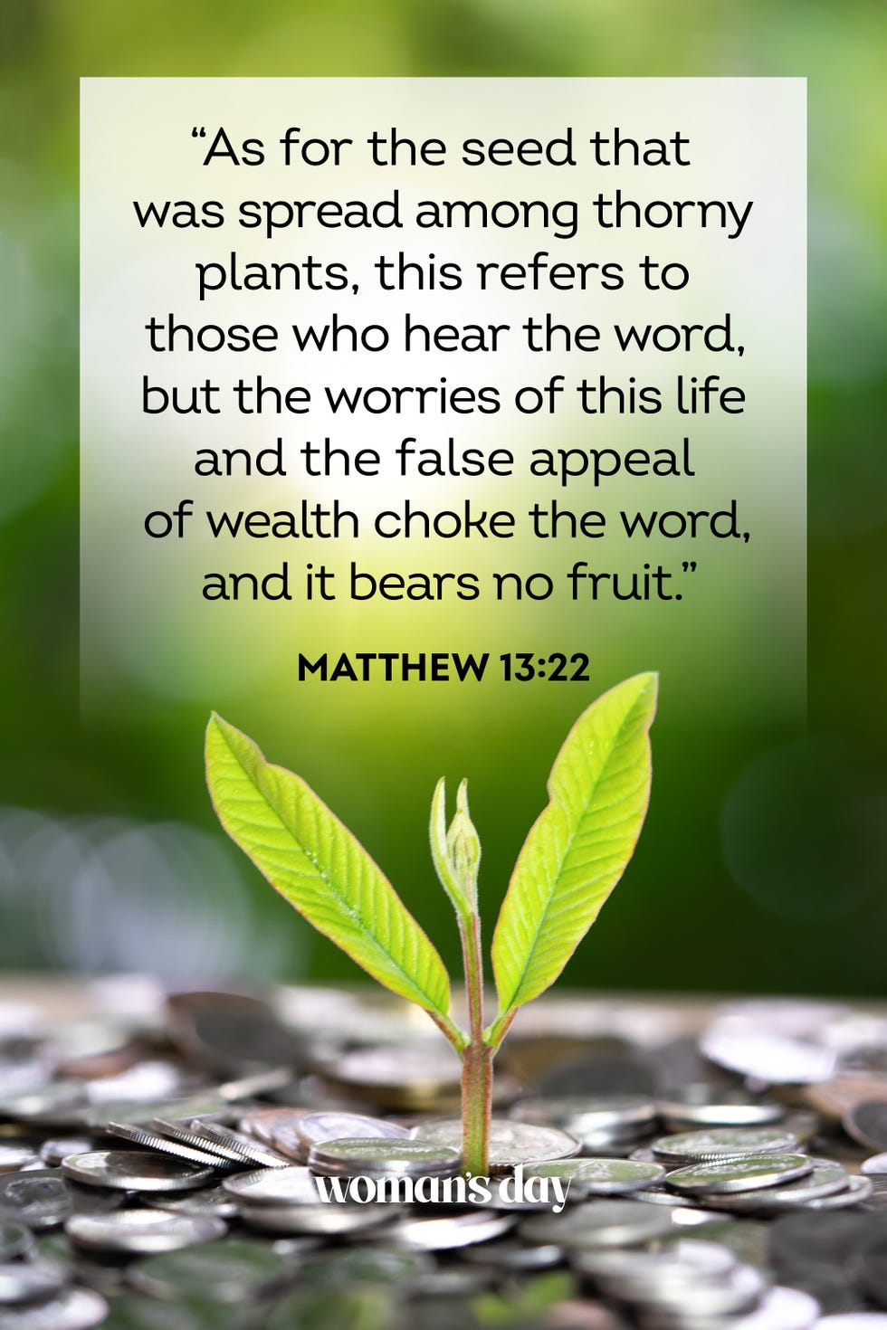 bible verses about money Matthew 13 22