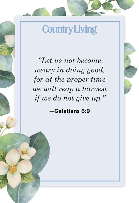 20 Calming Bible About Patience - Love and Perseverance Quotes