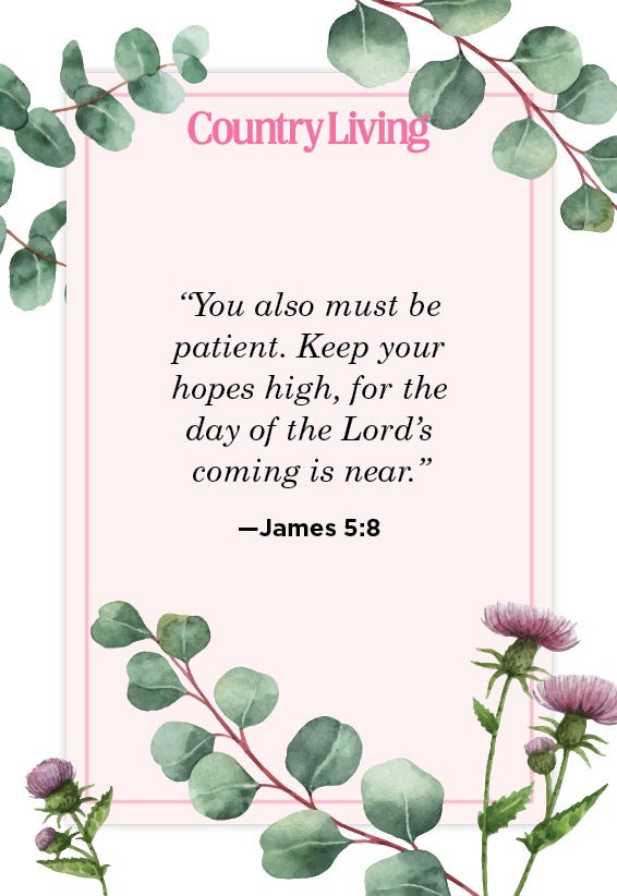 20-calming-bible-verses-about-patience-love-and-perseverance-quotes
