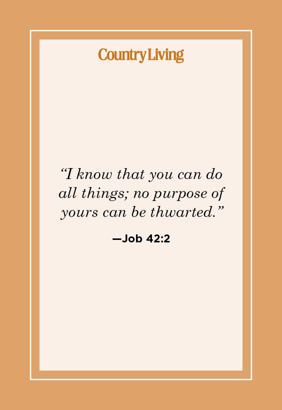 25 Perseverance Bible Verses - Scripture About Hard Work