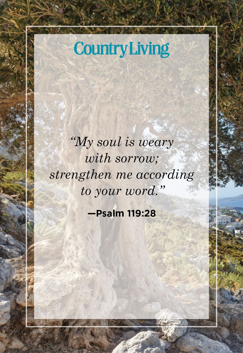 psalm 11928, bible verse about strength, over photo of ancient tree