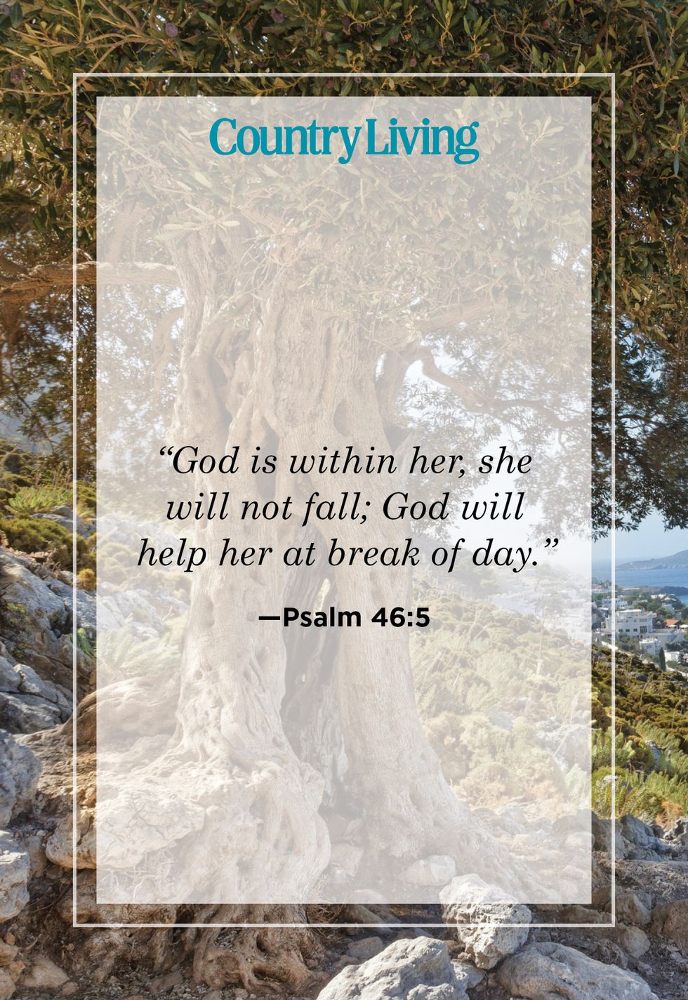 psalm 45, 6, a bible verse about strength, over image of ancient tree