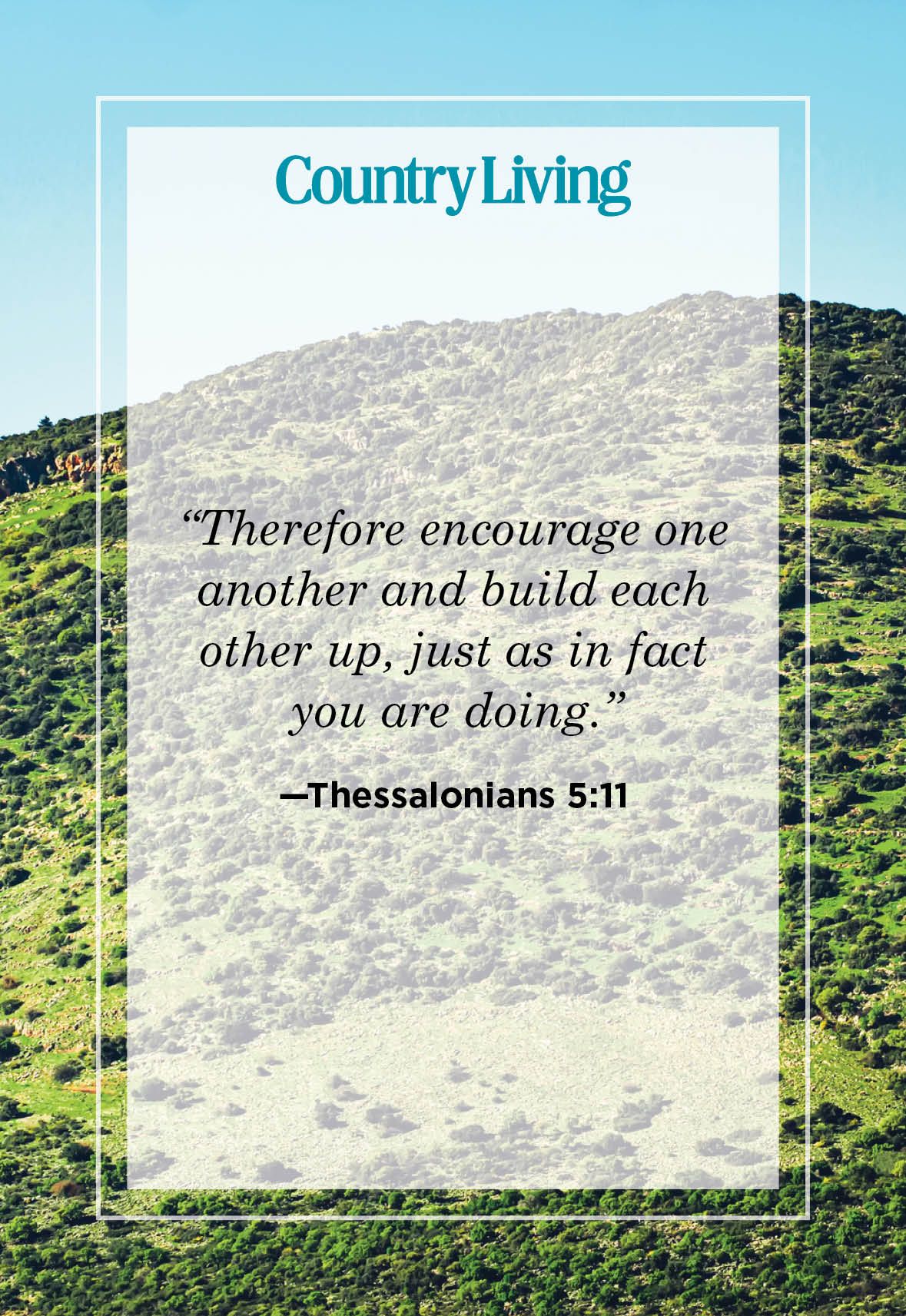 encourage one another and build each other up