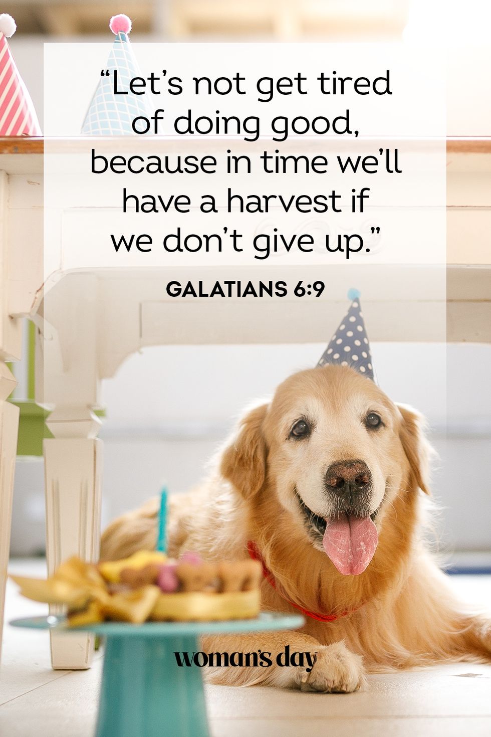 bible verses for birthdays galatians 6 9