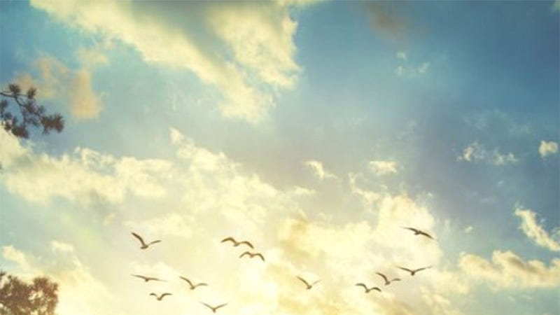 Video player poster image preview for 15 Bible Verses About Peace, Healing and Inspiration