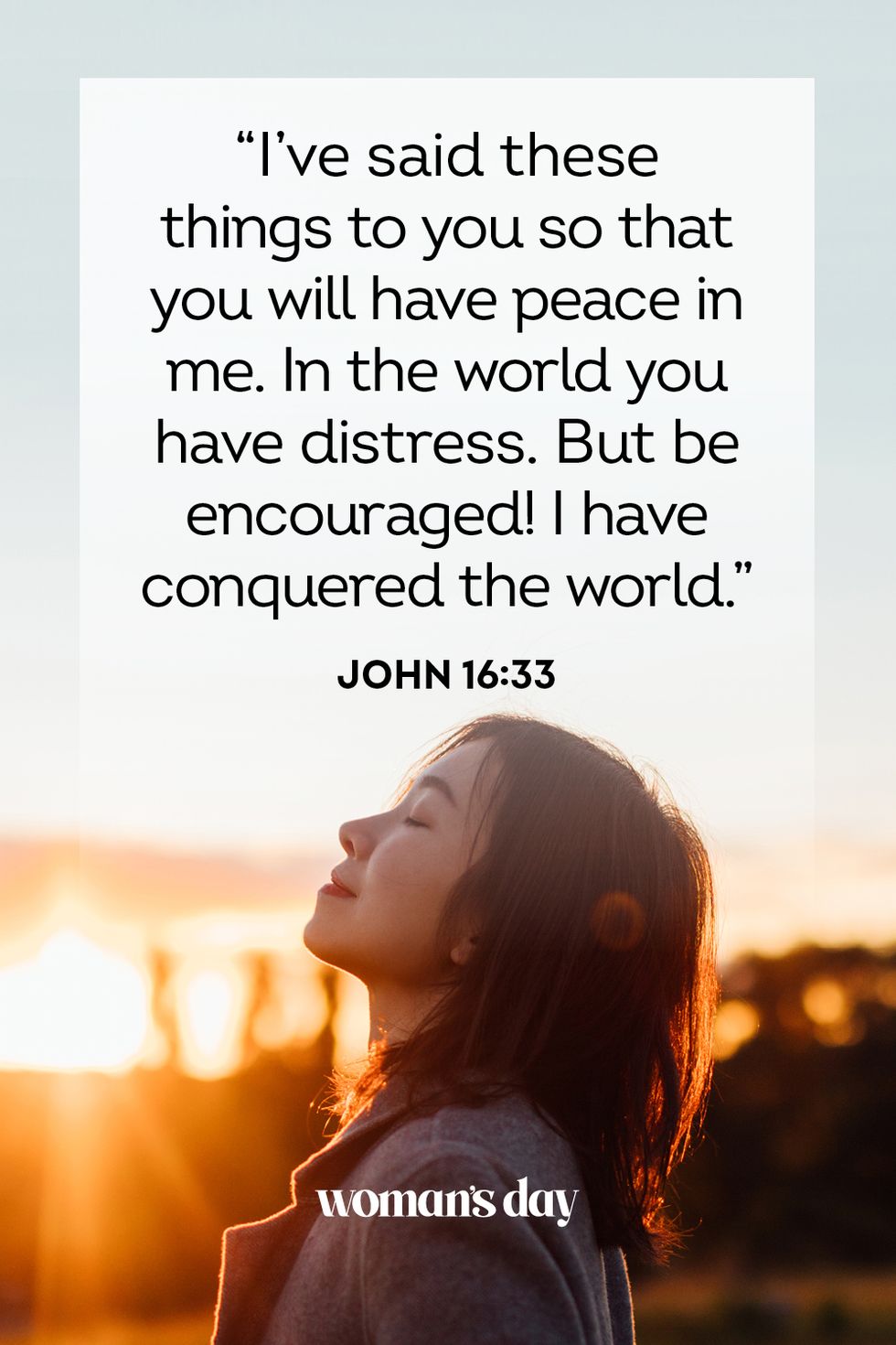 bible verses about peace  john 16 33