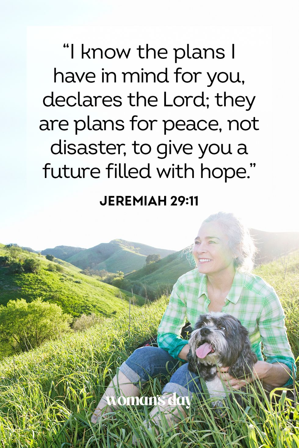 bible verses about peace  jeremiah 29 11